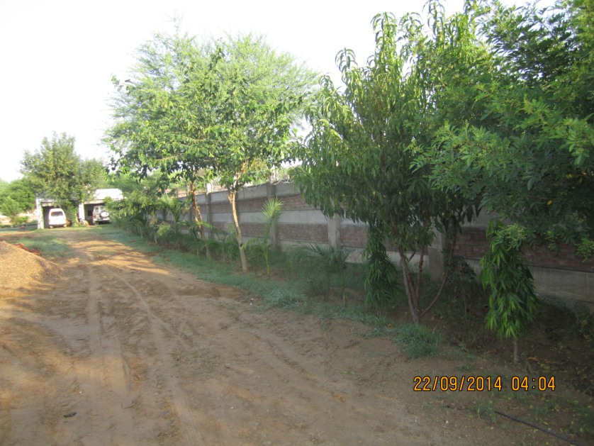 Rahmat Nawab Trust project photograph