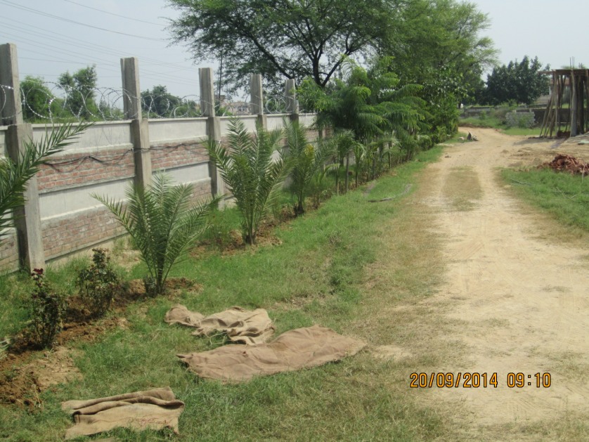 Rahmat Nawab Trust project photograph